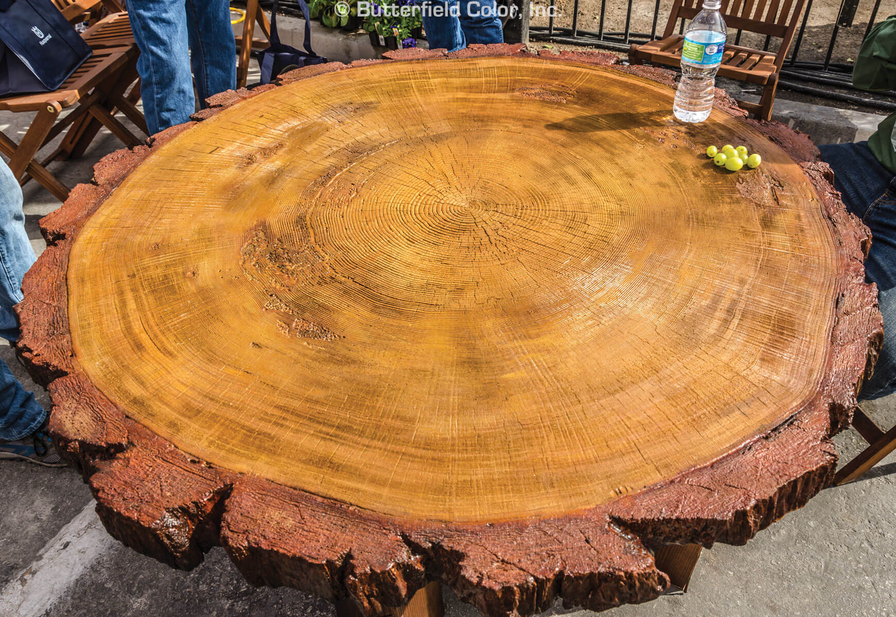 4' Log Round Table Top Mold - Butterfield Color®