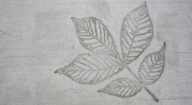 Hickory Leaf Cluster Stamp Sample